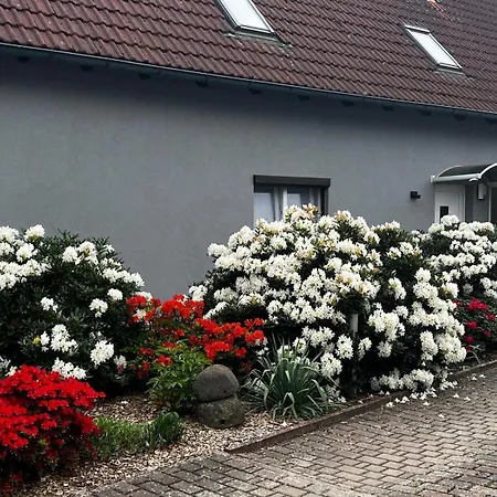 Leopold Apartman Tschernitz